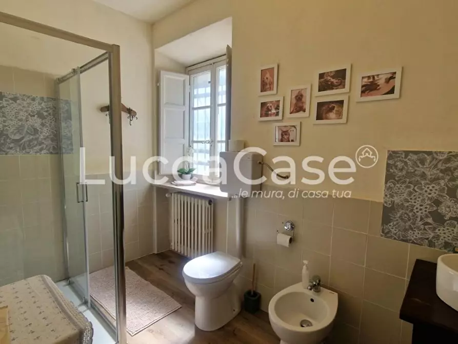 Immagine 22 di Casa colonica in vendita  a Capannori
