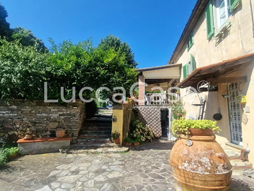 Immagine 35 di Casa colonica in vendita  a Capannori