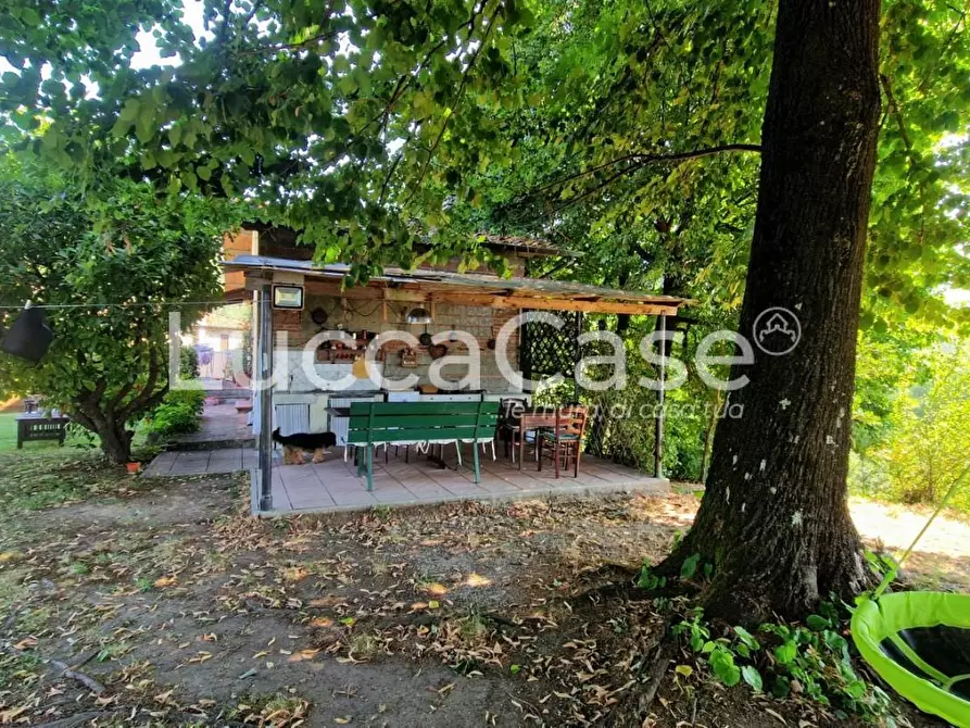 Immagine 39 di Casa colonica in vendita  a Capannori