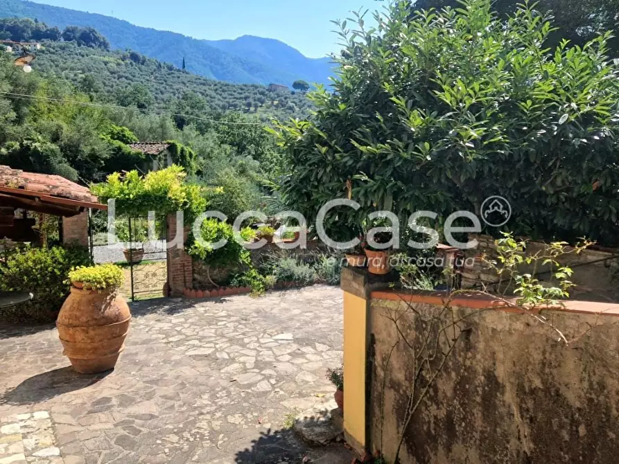 Immagine 42 di Casa colonica in vendita  a Capannori