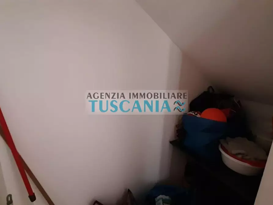 Immagine 14 di Appartamento in vendita  a Castagneto Carducci