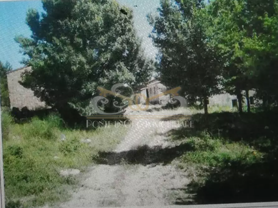 Immagine 5 di Rustico / casale in vendita  a Radicondoli