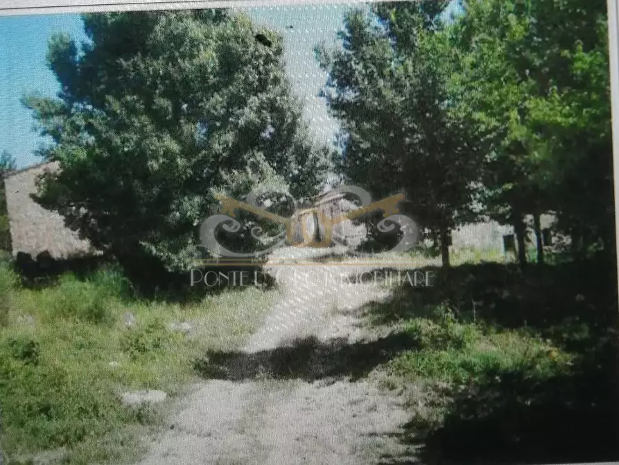 Immagine 4 di Rustico / casale in vendita  a Radicondoli