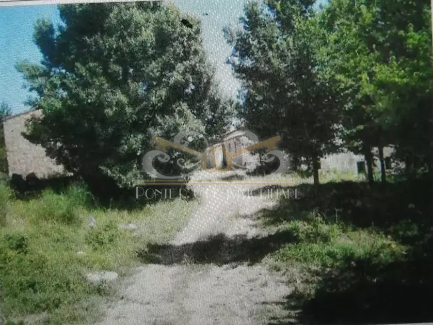 Immagine 3 di Rustico / casale in vendita  a Radicondoli
