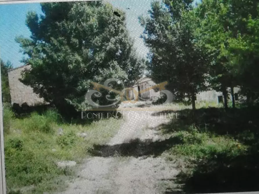 Immagine 7 di Rustico / casale in vendita  a Radicondoli