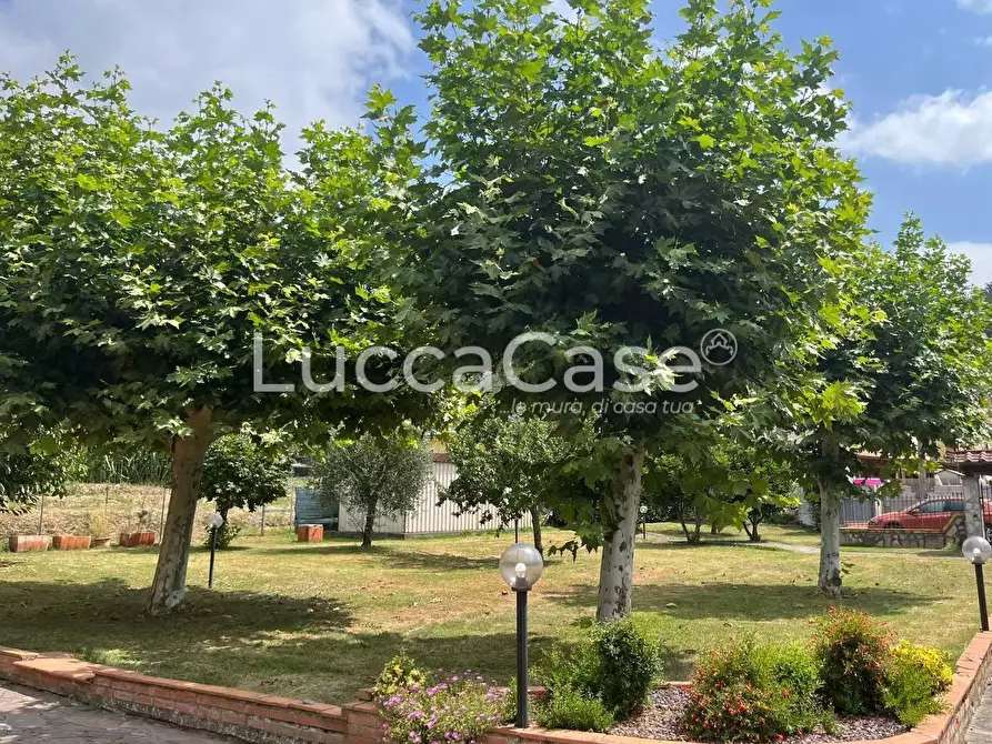 Immagine 7 di Villa in vendita  a Porcari