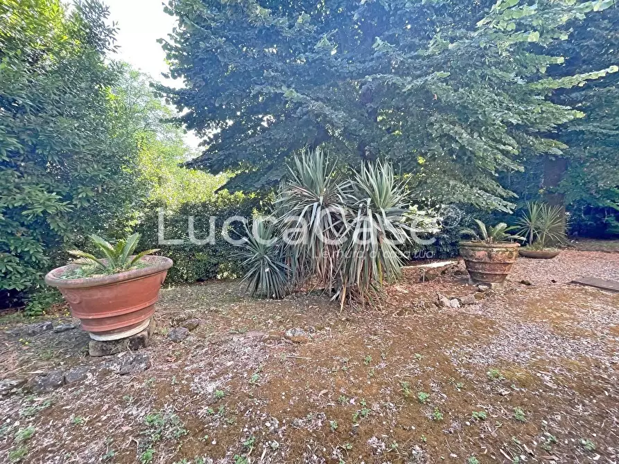 Immagine 40 di Immobile di prestigio in vendita  a Lucca