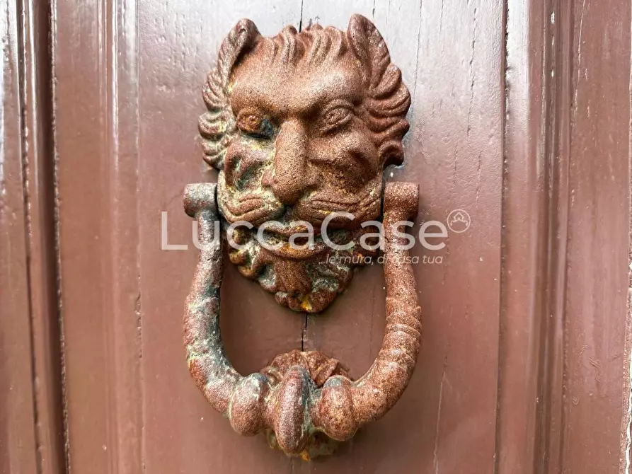 Immagine 38 di Villa in vendita  a Capannori