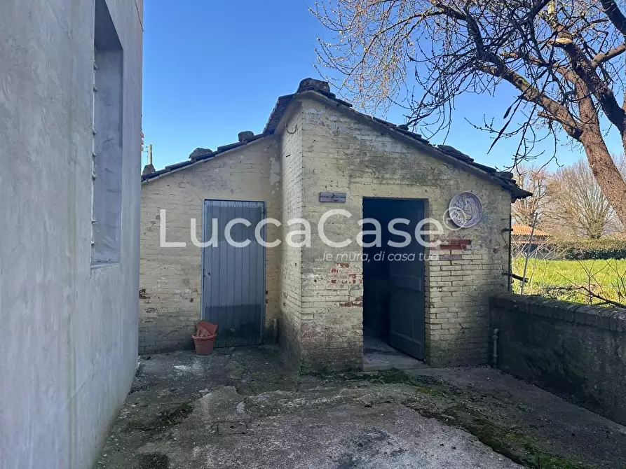 Immagine 7 di Villa in vendita  a Capannori