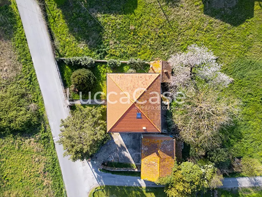 Immagine 2 di Villa in vendita  a Capannori