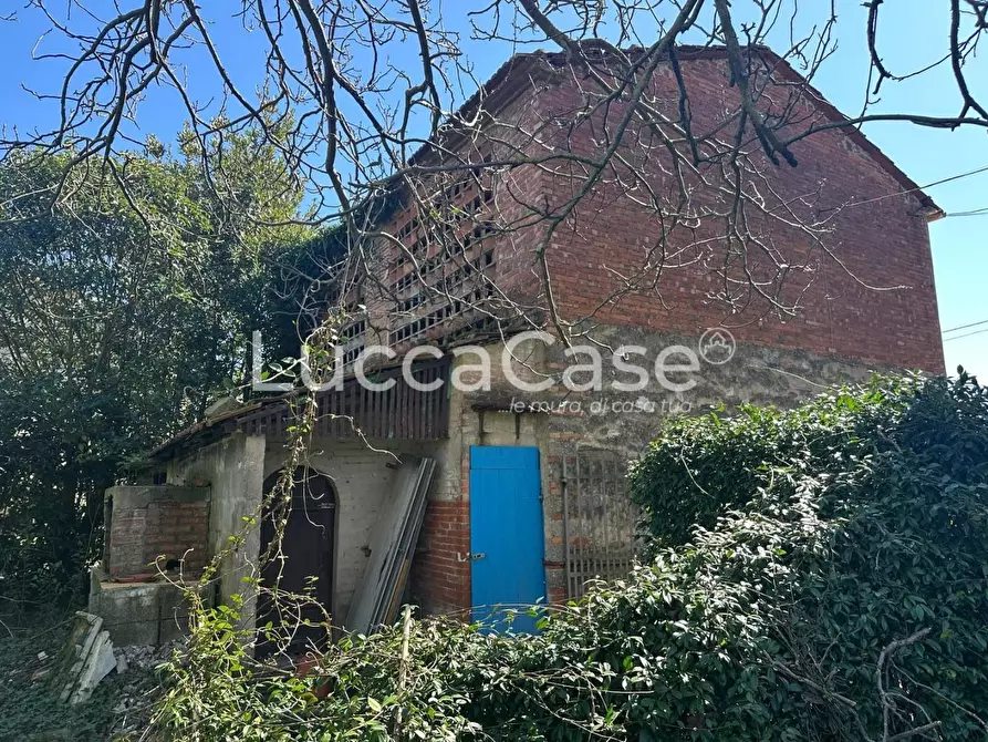 Immagine 4 di Villa in vendita  a Capannori