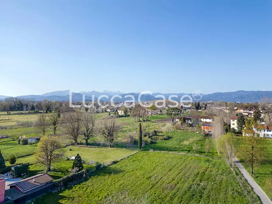 Immagine 9 di Villa in vendita  a Capannori