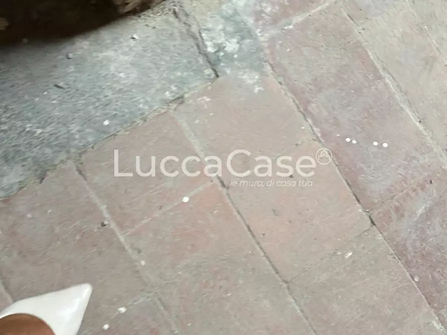 Immagine 37 di Villa in vendita  a Capannori