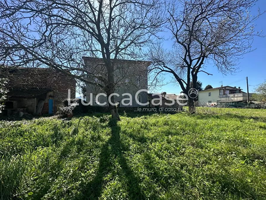 Immagine 3 di Villa in vendita  a Capannori