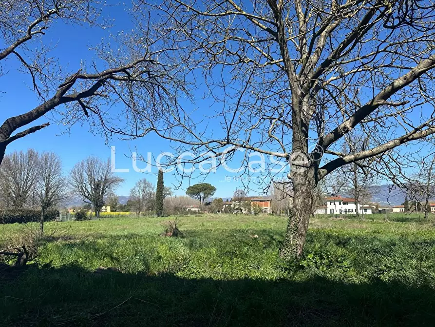 Immagine 5 di Villa in vendita  a Capannori