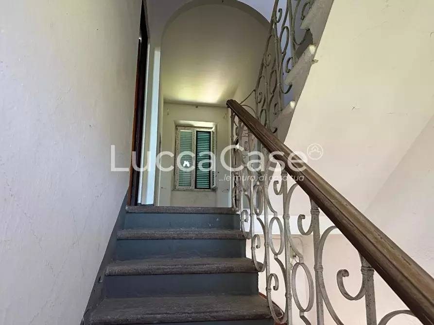 Immagine 17 di Villa in vendita  a Capannori