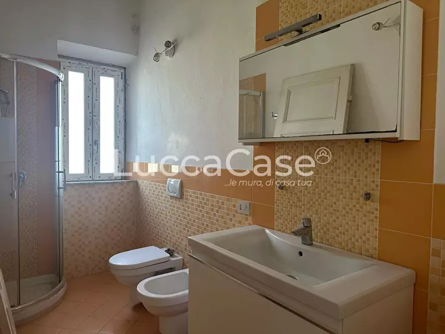 Immagine 19 di Villa in vendita  a Capannori