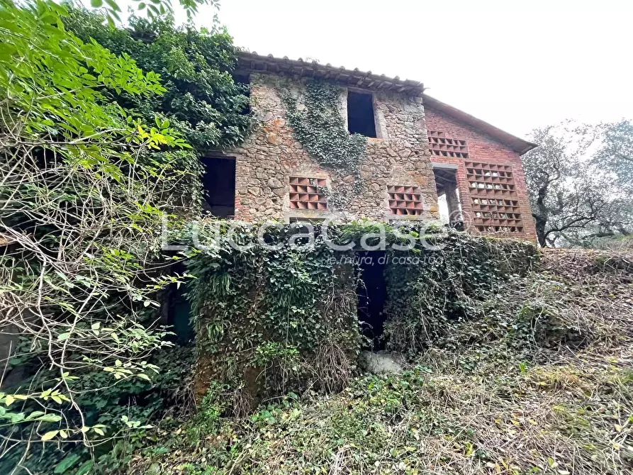 Immagine 20 di Rustico / casale in vendita  a Lucca