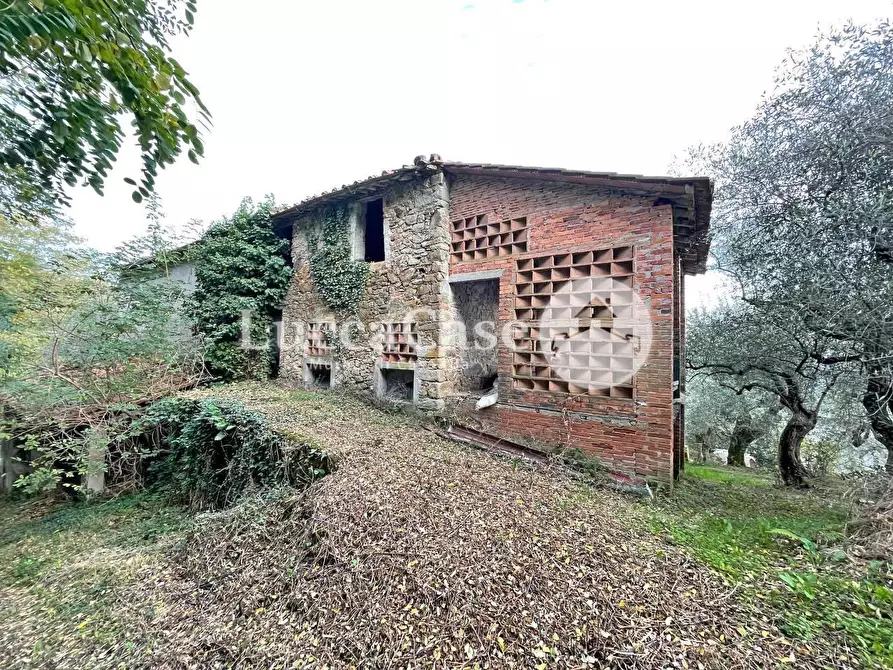 Immagine 1 di Rustico / casale in vendita  a Lucca