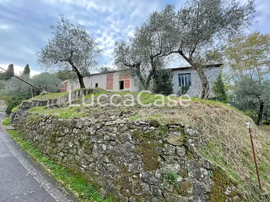 Immagine 17 di Rustico / casale in vendita  a Lucca
