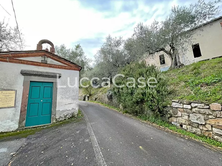 Immagine 4 di Rustico / casale in vendita  a Lucca