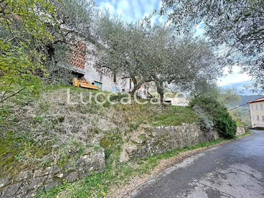 Immagine 22 di Rustico / casale in vendita  a Lucca