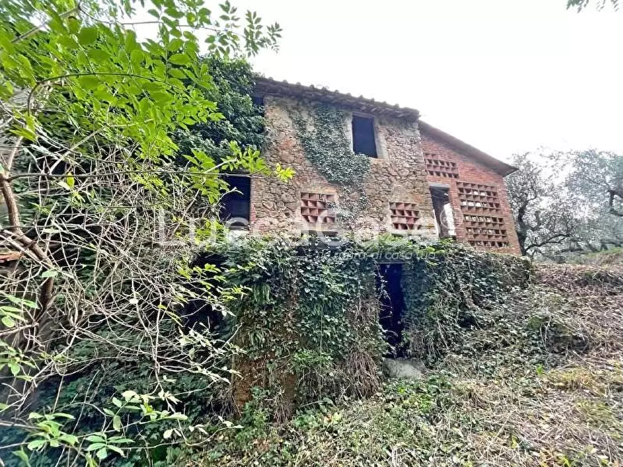 Immagine 13 di Rustico / casale in vendita  a Lucca
