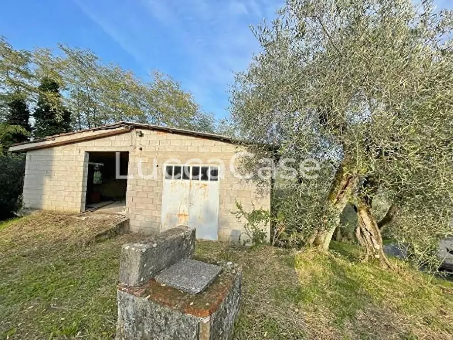 Immagine 4 di Rustico / casale in vendita  a Lucca