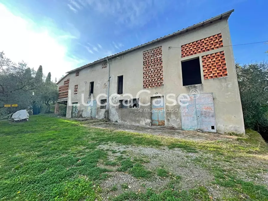 Immagine 9 di Rustico / casale in vendita  a Lucca