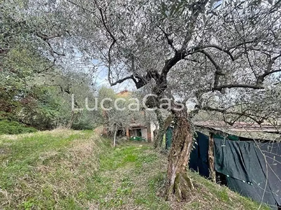 Immagine 14 di Rustico / casale in vendita  a Lucca