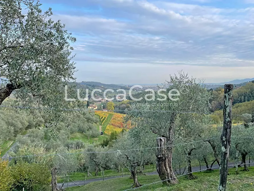 Immagine 22 di Rustico / casale in vendita  a Lucca
