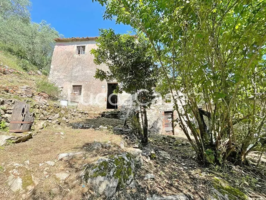 Immagine 1 di Casa indipendente in vendita  a Lucca