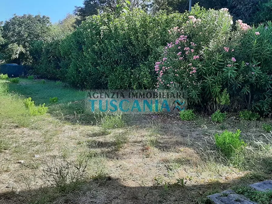 Immagine 7 di Appartamento in vendita  a Rosignano Marittimo