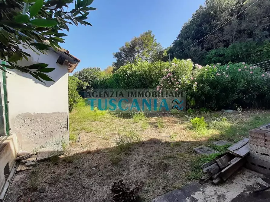 Immagine 5 di Appartamento in vendita  a Rosignano Marittimo