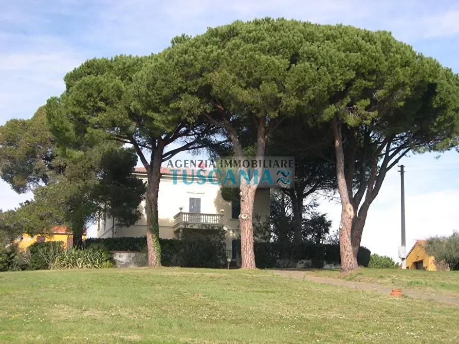Immagine 49 di Terreno agricolo in vendita  a Casale Marittimo