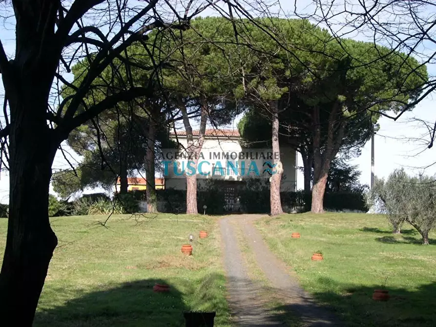 Immagine 2 di Terreno agricolo in vendita  a Casale Marittimo