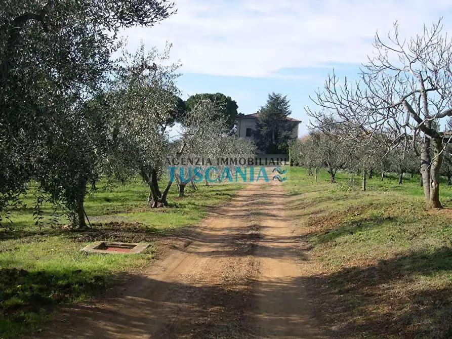 Immagine 15 di Villa in vendita  a Casale Marittimo