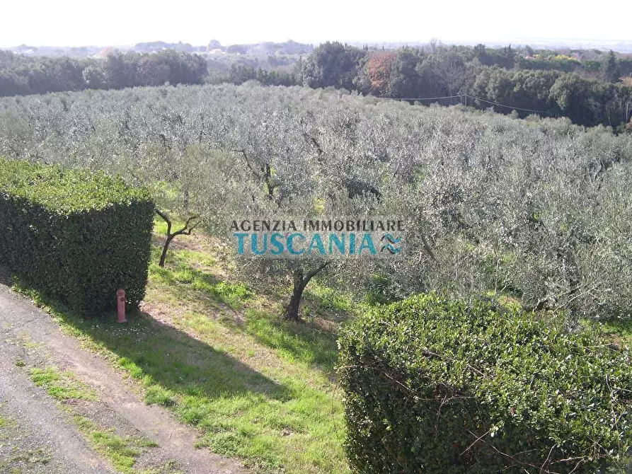 Immagine 36 di Villa in vendita  a Casale Marittimo