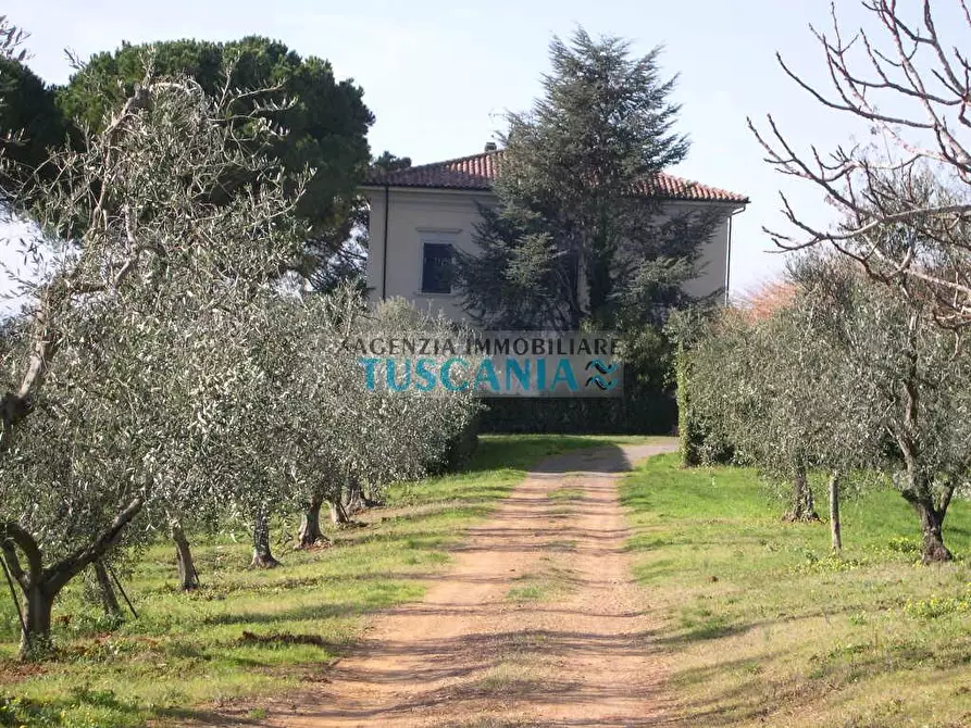 Immagine 16 di Villa in vendita  a Casale Marittimo
