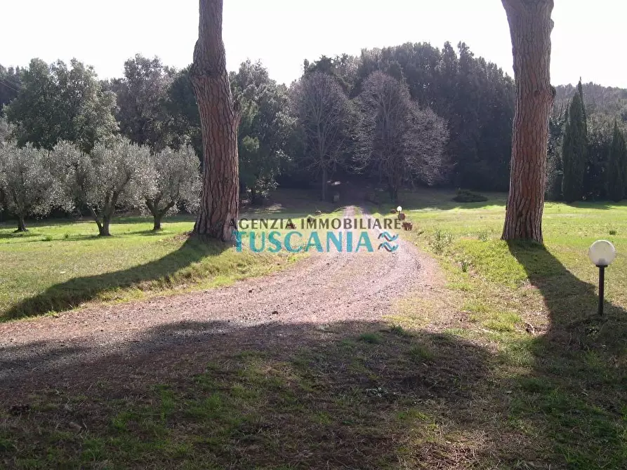 Immagine 26 di Villa in vendita  a Casale Marittimo