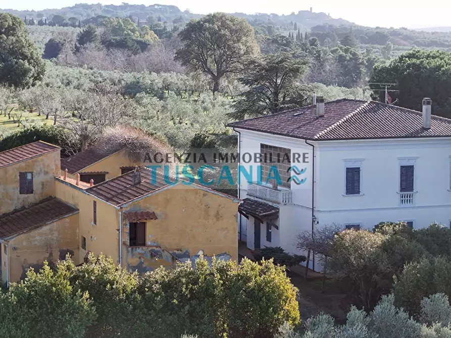 Immagine 60 di Villa in vendita  a Casale Marittimo