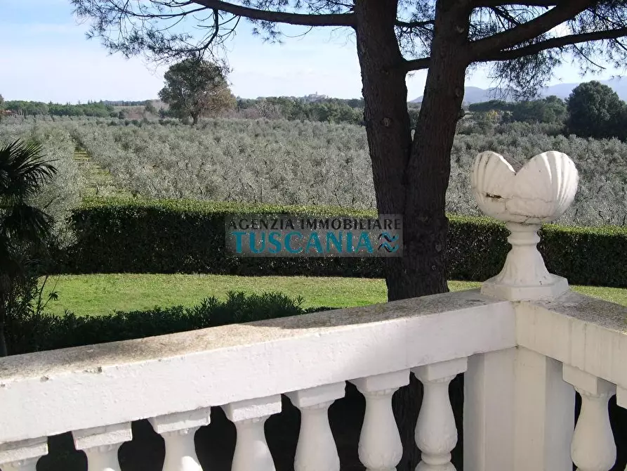 Immagine 41 di Villa in vendita  a Casale Marittimo