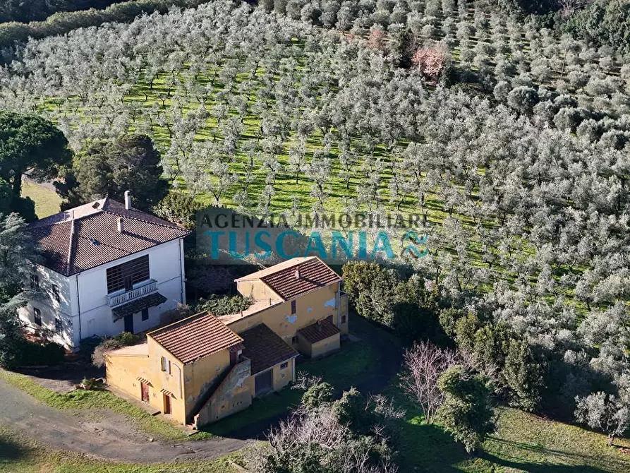 Immagine 57 di Villa in vendita  a Casale Marittimo