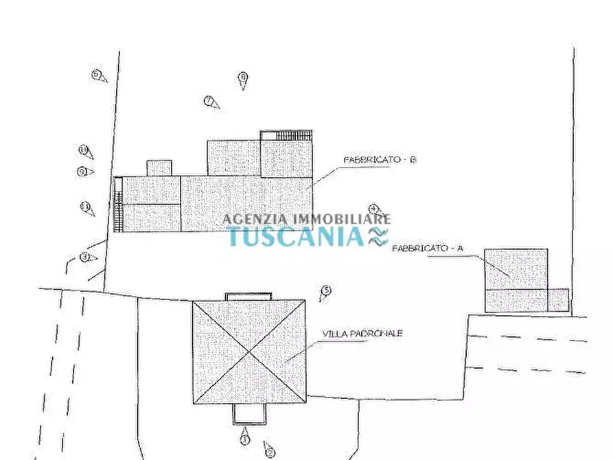 Immagine 51 di Villa in vendita  a Casale Marittimo