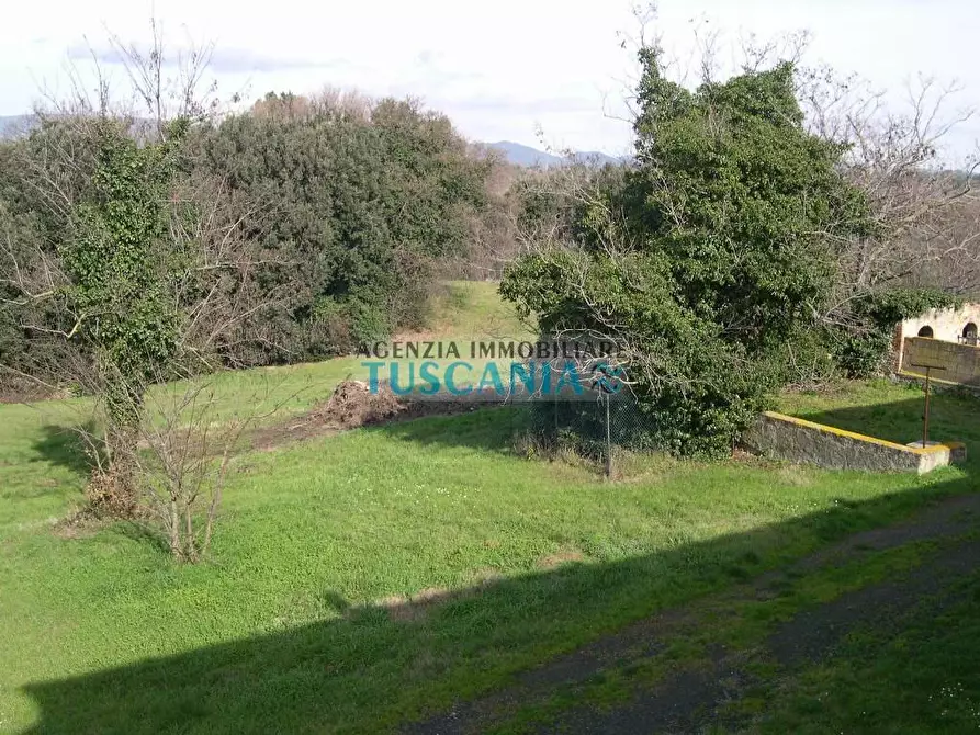 Immagine 6 di Villa in vendita  a Casale Marittimo
