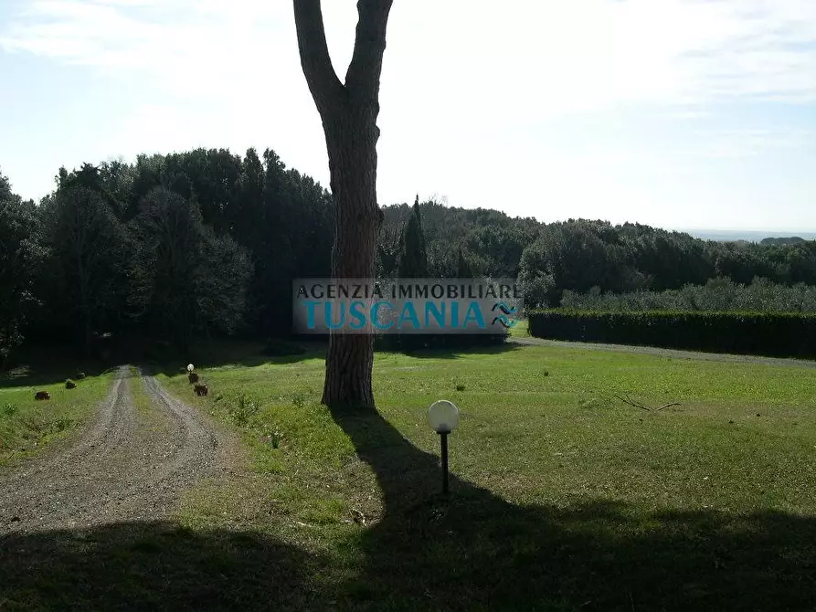 Immagine 25 di Villa in vendita  a Casale Marittimo