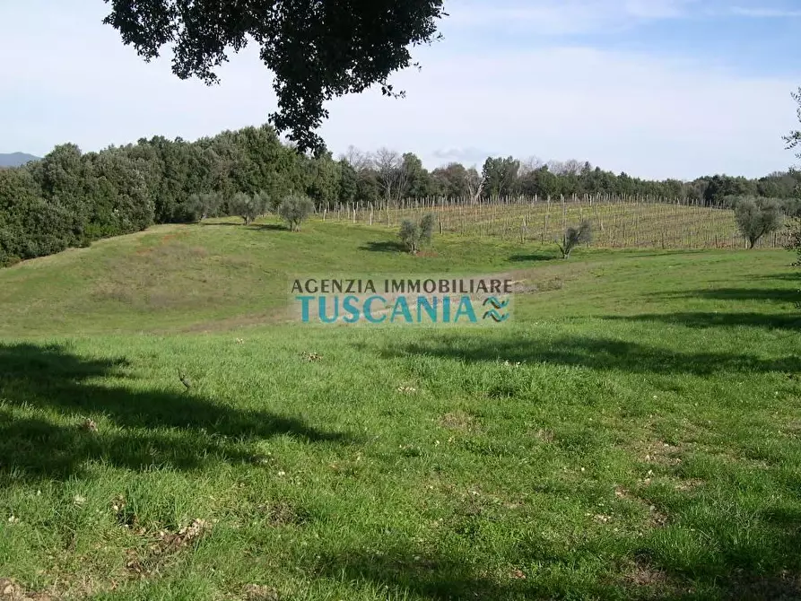 Immagine 12 di Villa in vendita  a Casale Marittimo