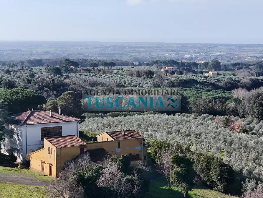 Immagine 58 di Villa in vendita  a Casale Marittimo