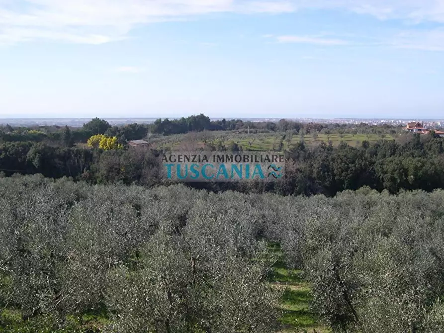 Immagine 37 di Villa in vendita  a Casale Marittimo