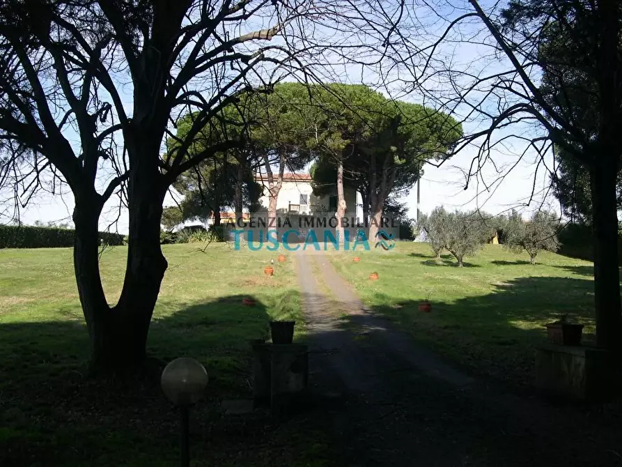 Immagine 24 di Villa in vendita  a Casale Marittimo